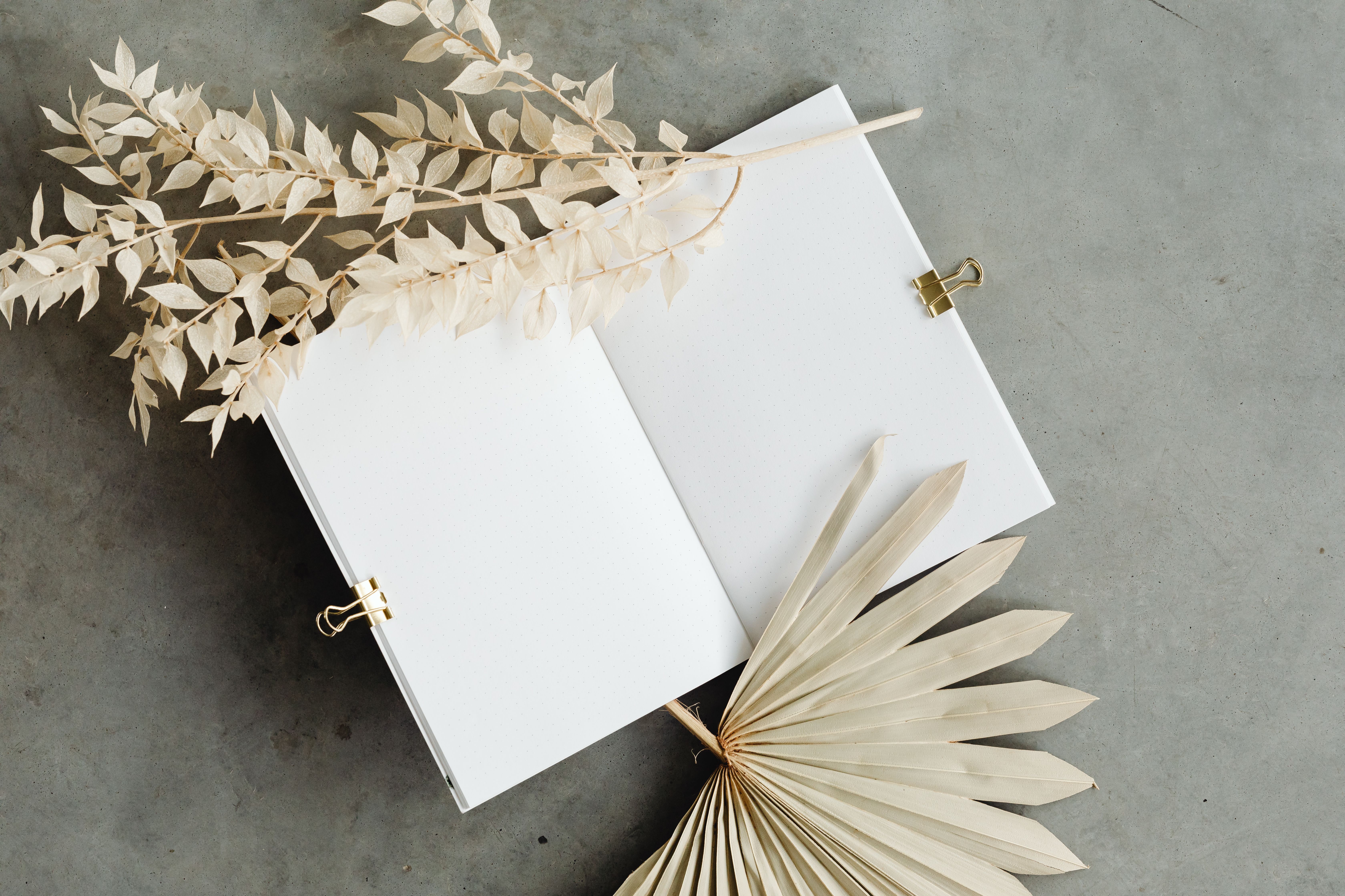 An open notebook beside dried botanical leaves